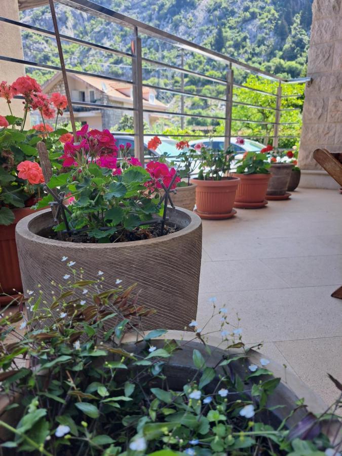Apartment Benvenuti Kotor Exterior foto